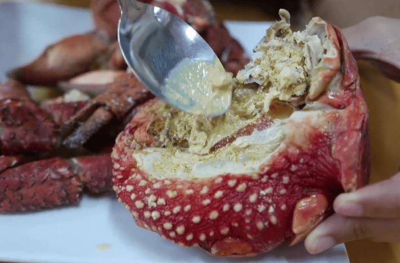 捕杀海鸟的“巨蟹”被它夹一下很可能重伤麻将胡了试玩模拟器能徒手开椰子壳上树(图6) 捕杀海鸟的“巨蟹”被它夹一下很可能重伤麻将胡了试玩模拟器能徒手开椰子壳上树(图6)