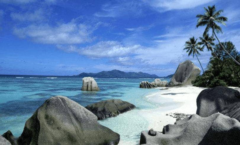 捕杀海鸟的“巨蟹”被它夹一下很可能重伤麻将胡了试玩模拟器能徒手开椰子壳上树(图14) 捕杀海鸟的“巨蟹”被它夹一下很可能重伤麻将胡了试玩模拟器能徒手开椰子壳上树(图14)